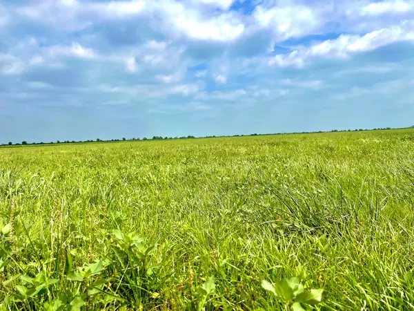 1359 McDonald Rd, Eagle Lake, TX 77434