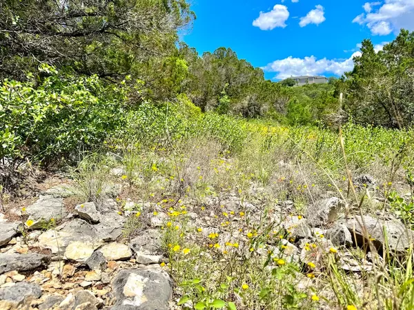Mico, TX 78056,Private Rd 2771 #LOT 2, UNIT 4