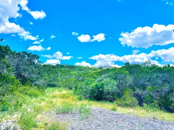 Mico, TX 78056,Private Rd 2771 #LOT 2, UNIT 4