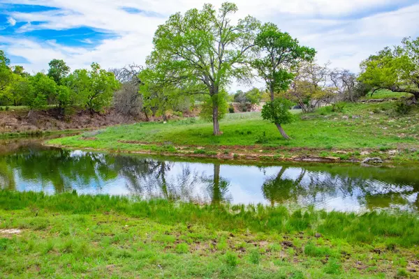 Tx 78631,,55 Pack Saddle Dr Harper