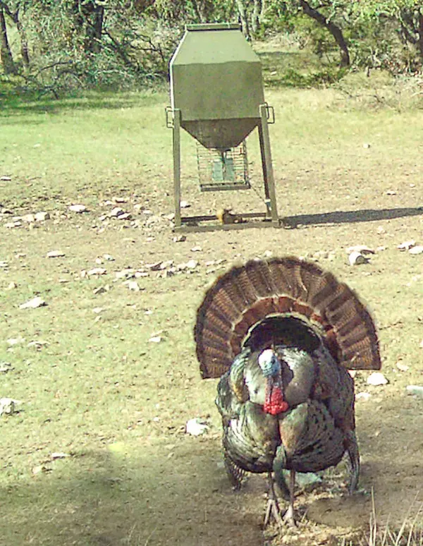 Mountain Home, TX 78058,N US Highway 83 #50