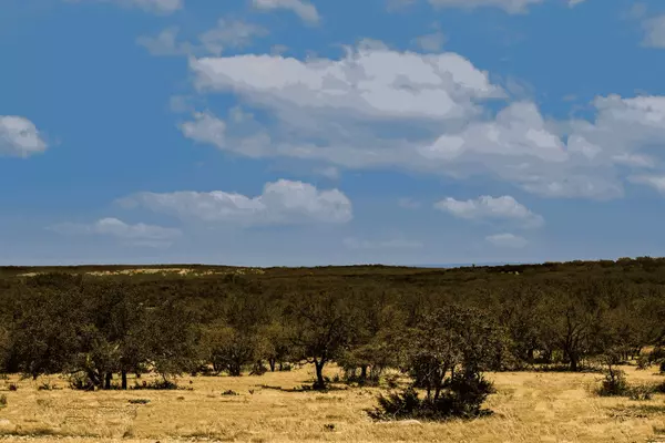 Kerr County Mountain Home, TX,1272 Acres US-83