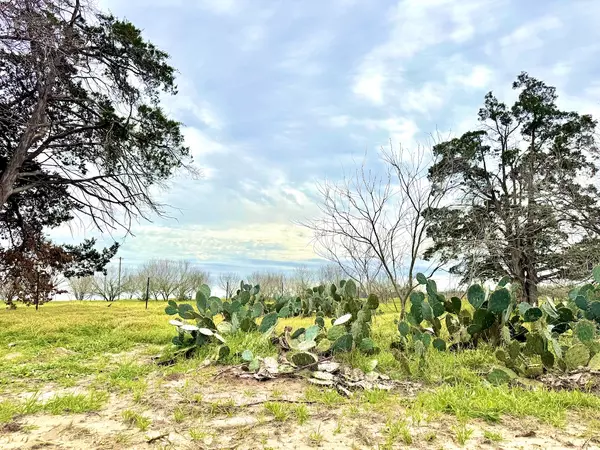 Dale, TX 78616,Old Colony Line Rd #Tract 3