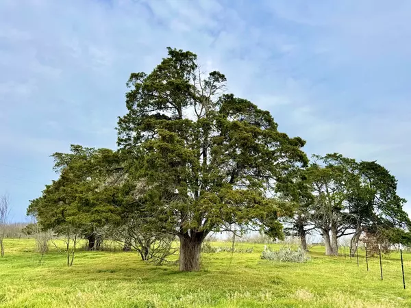 Dale, TX 78616,Old Colony Line Rd #Tract 3