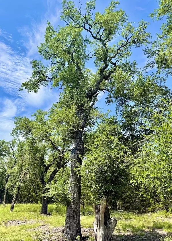 Lampasas, TX 76550,Shin Oak Dr #TBD Tract 15