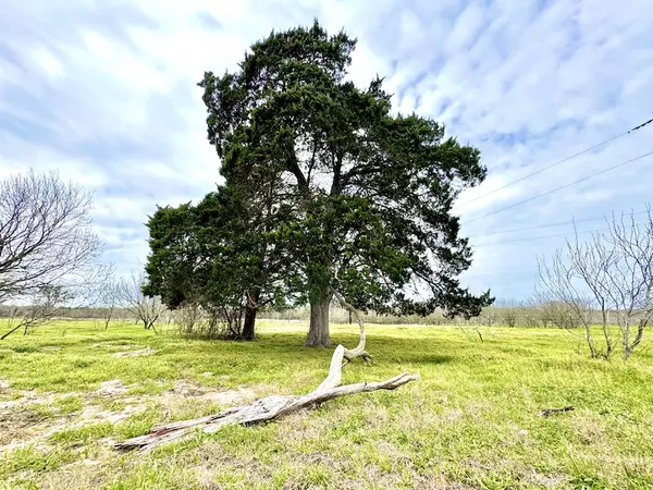 Dale, TX 78616,Old Colony Line Rd #Tract 3