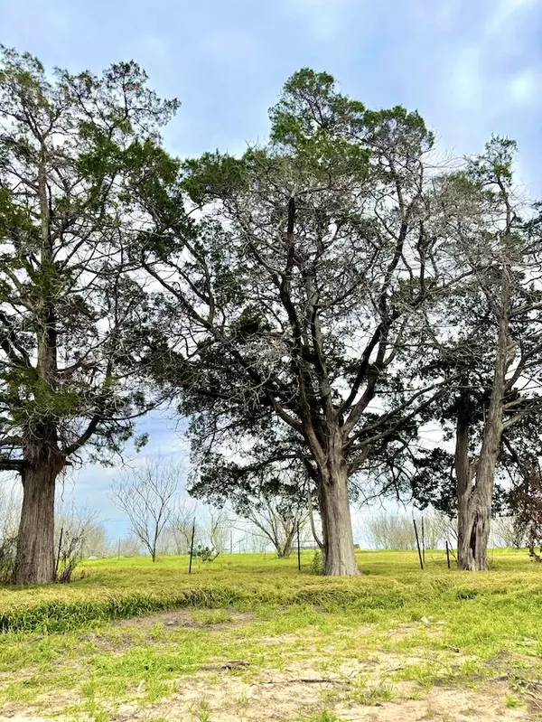 Dale, TX 78616,Old Colony Line Rd #Tract 3