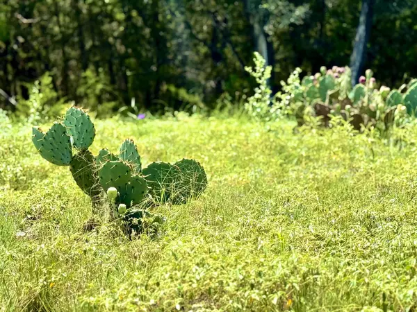 Lampasas, TX 76550,Shin Oak Dr #TBD Tract 15