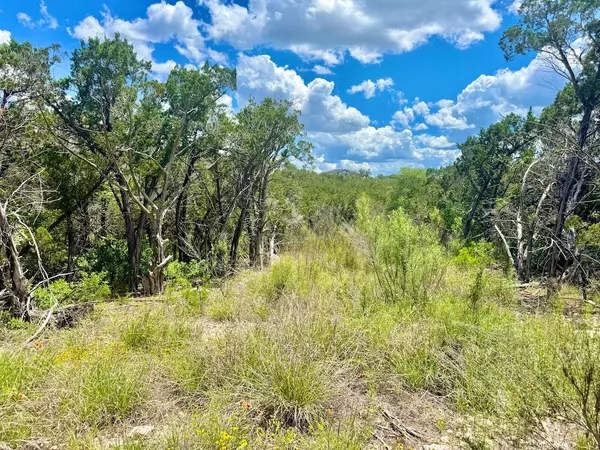 Unit 4 Private Rd 2771, Texas 78056,LOT 2