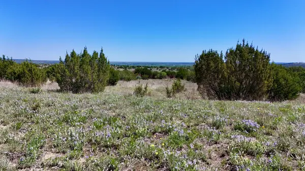 0000 East Farm To Market 581 Lometa, Tx 76853,