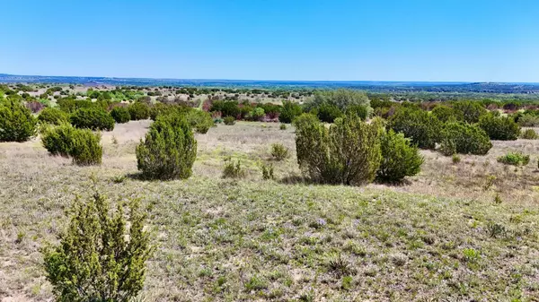 0000 East Farm To Market 581 Lometa, Tx 76853, 