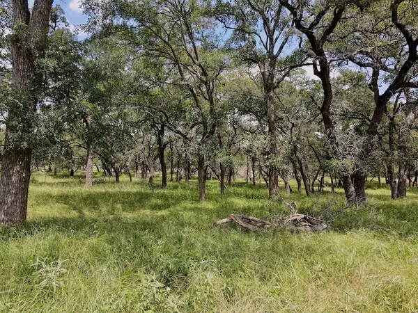 Paradise Pkwy #1978, Canyon Lake, TX 78133