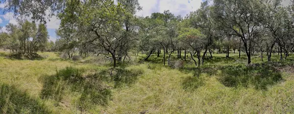 Paradise Pkwy #1978, Canyon Lake, TX 78133