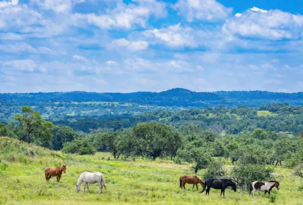 1430 Gibson Best Rd, Hye, TX 78635