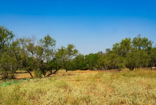 Old Ferry Rd, Spicewood, TX 78669