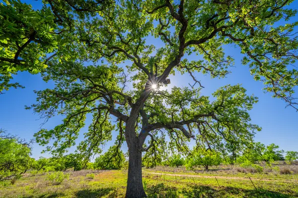 5230 County Road 409, Llano, TX 78643