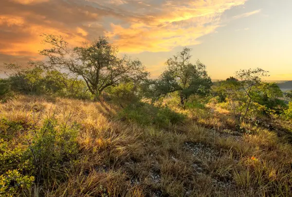 12516 Wire Rd, Leander, TX 78641-9403