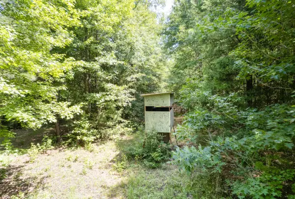 575 County Road 1920, Atlanta, TX 75551