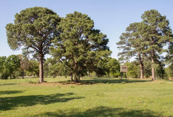 490 John Craft RD, Red Rock, TX 78662