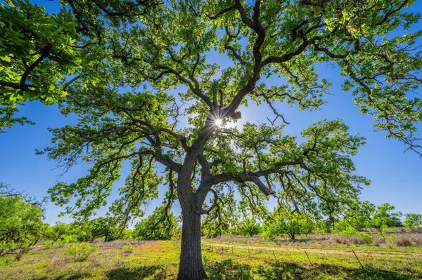 5230 County Road 409, Valley Spring, TX 76885