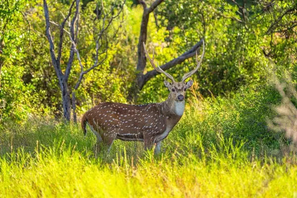 3021 Fm-1689, Comanche, TX 76442