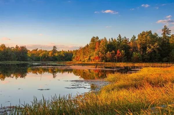 0 Cr-3411, Chandler, TX 75758