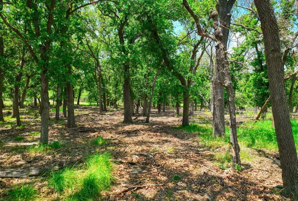 730 E HWY 84, Goldthwaite, TX 76844