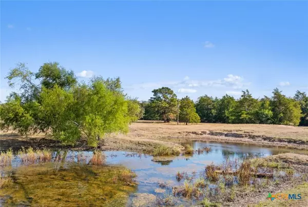 340 Mark Young RD, Smithville, TX 78957