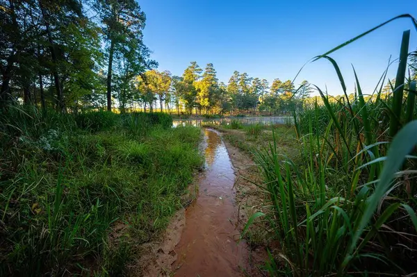 10326 County Road 3112 N, Kilgore, TX 75662