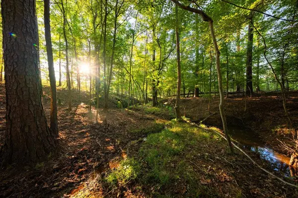 10326 County Road 3112 N, Kilgore, TX 75662