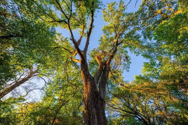 2574 County Road 211, Hico, TX 76457