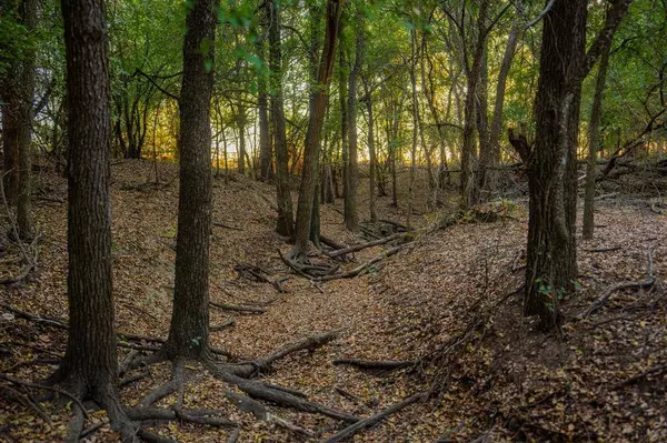 2574 County Road 211, Hico, TX 76457