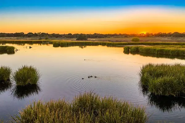 345 Fm 933, Aquilla, TX 76622