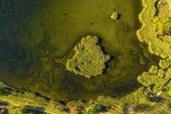 345 Fm 933, Aquilla, TX 76622