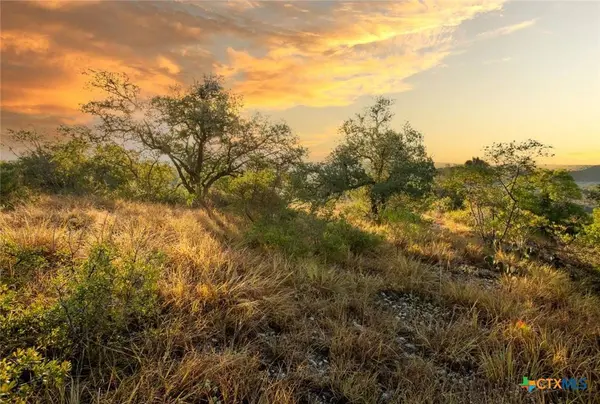 12516 Wire RD, Leander, TX 78641