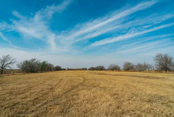 18402 Manda Carlson RD, Coupland, TX 78615