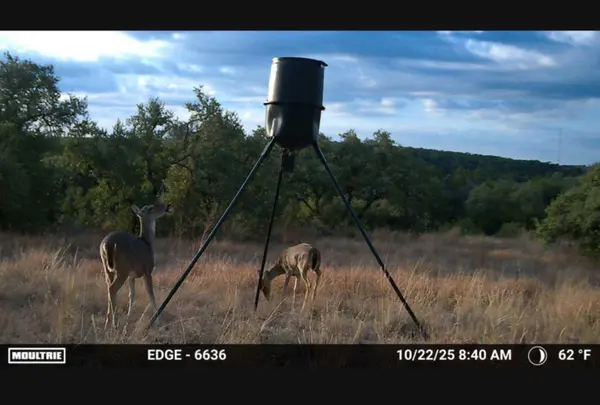 12516 Wire RD, Leander, TX 78641