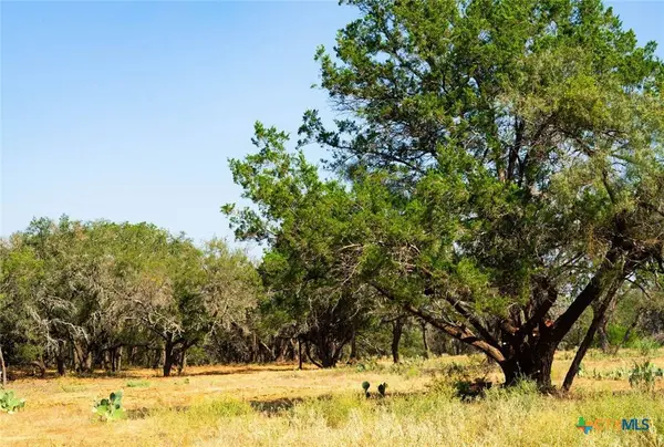 0000 Old Ferry RD, Spicewood, TX 78669