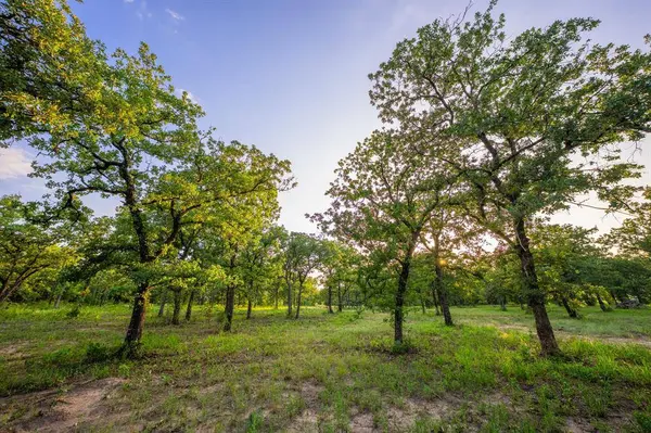 8606 Star Hollow Road, Lipan, TX 76462