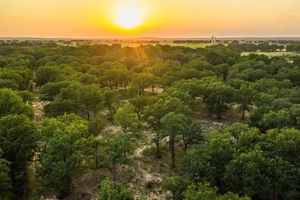 8606 Star Hollow Road, Lipan, TX 76462