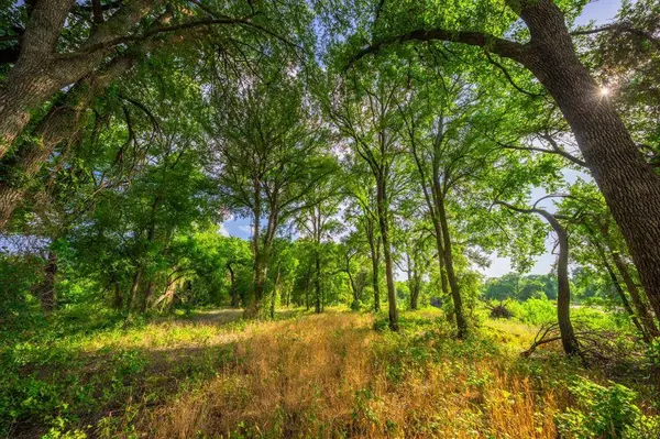 8606 Star Hollow Road, Lipan, TX 76462