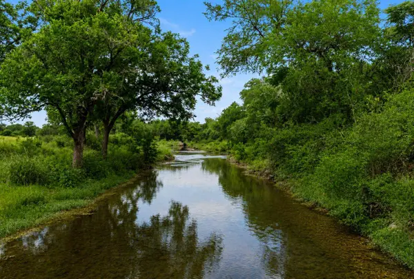 14440 Nutty Brown RD, Austin, TX 78737