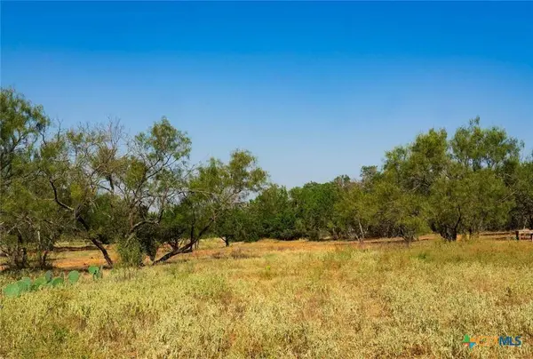 0000 Old Ferry RD, Spicewood, TX 78669