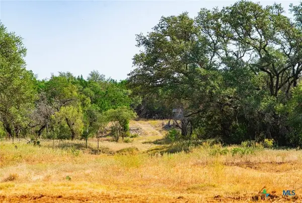 0000 Old Ferry RD, Spicewood, TX 78669