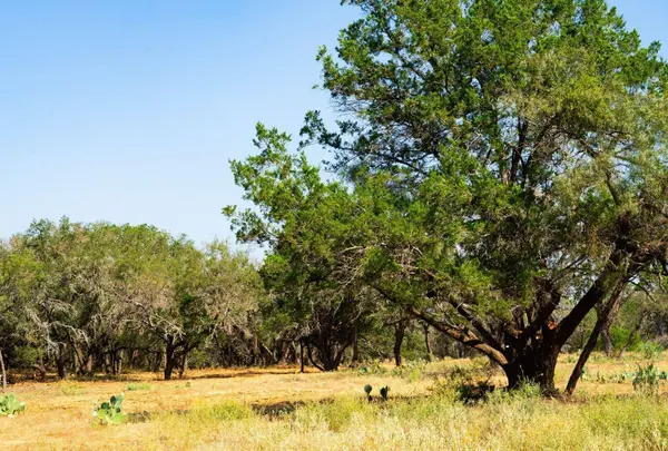 000 Old Ferry RD, Spicewood, TX 78669