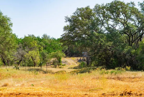 000 Old Ferry RD, Spicewood, TX 78669