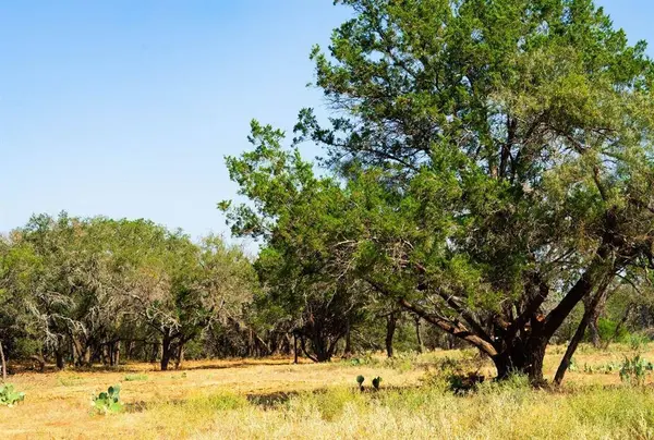 000 Old Ferry Road, Spicewood, TX 78669