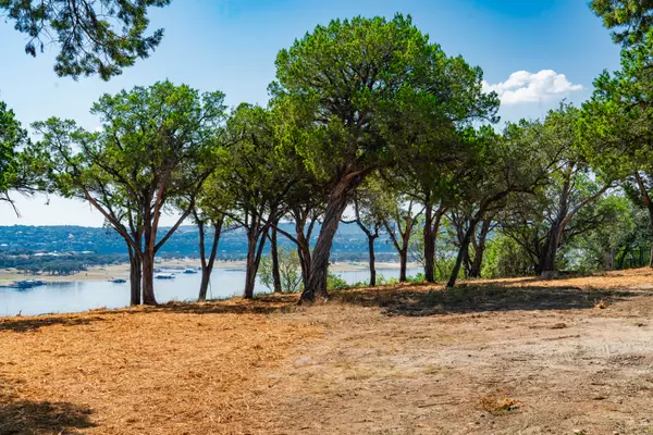 Spicewood, TX 78669-6811,720 Angel Light Dr