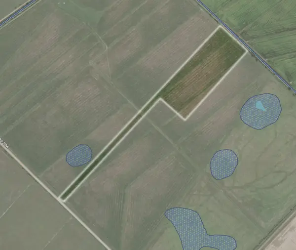 TBD Tract 43 Mcdonald Rd, Eagle Lake, TX 77434