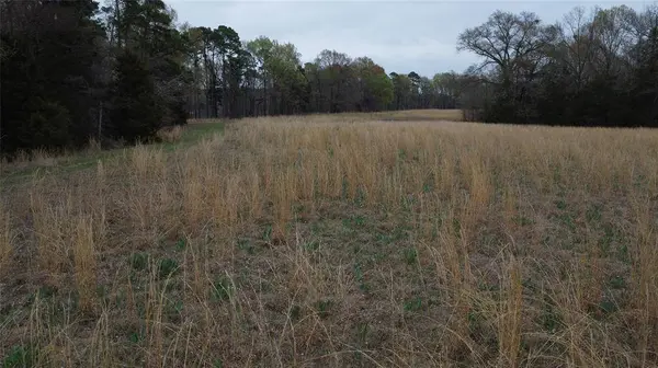 2039 C.R. 2850, Pittsburg, TX 75686